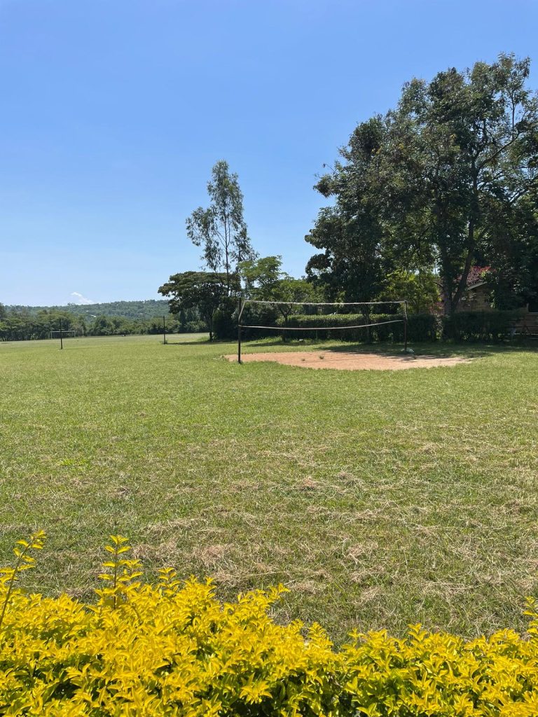 volleyball court in an open field